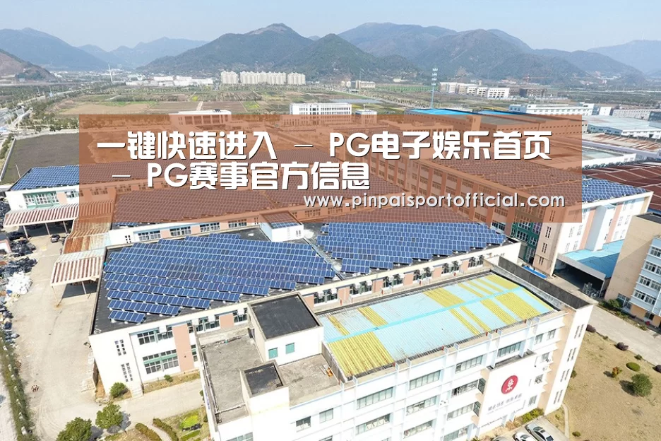 案例展示二