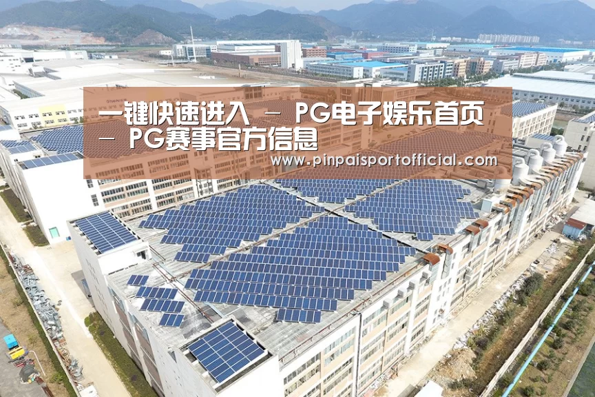 案例展示二