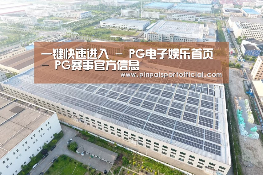 案例展示二