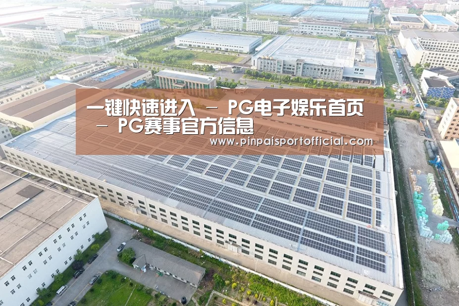 案例展示三