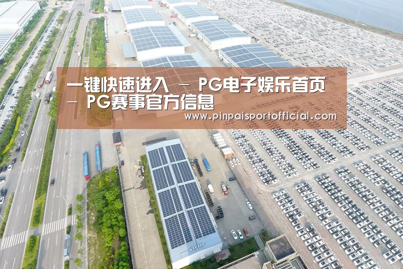 案例展示一