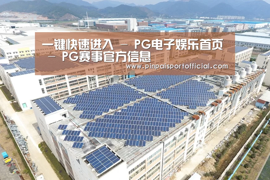 案例展示四