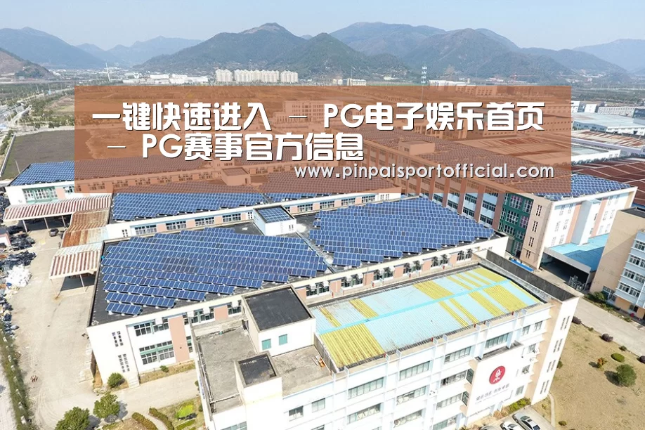 案例展示三
