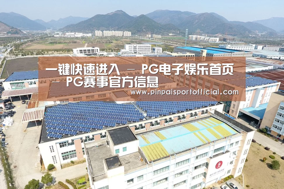 案例展示三