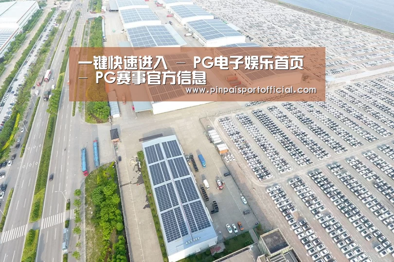 案例展示二